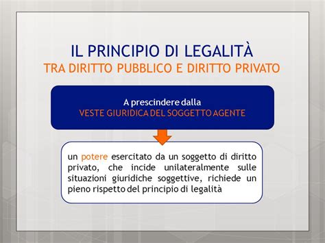 in tema di principio di legalità e di diritto alla libertà e alla 